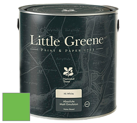 Little Greene Absolute Matt Emulsion матовая краска для потолка NCS - NCS S 0575-G20Y