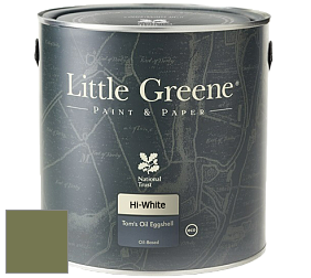 Краска Little Greene Tom’s Oil Eggshell полуматовая масляная краска цвет NCS S 5030-G50Y 