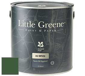 Краска Little Greene Tom’s Oil Eggshell полуматовая масляная краска цвет NCS S 5540-G20Y 