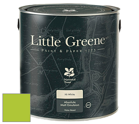Little Greene Absolute Matt Emulsion матовая краска для потолка NCS - NCS S 0575-G40Y